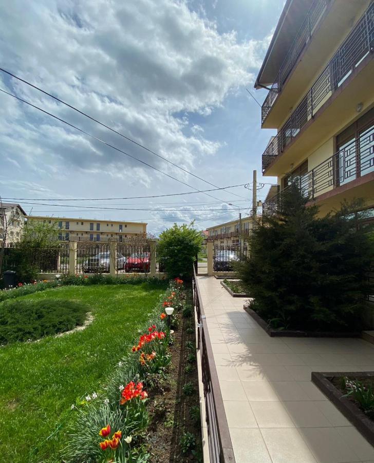 Villa Pescarus 科斯蒂内什蒂 外观 照片