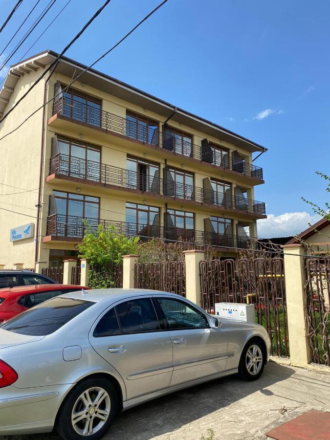 Villa Pescarus 科斯蒂内什蒂 外观 照片