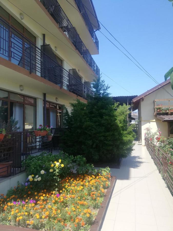 Villa Pescarus 科斯蒂内什蒂 外观 照片