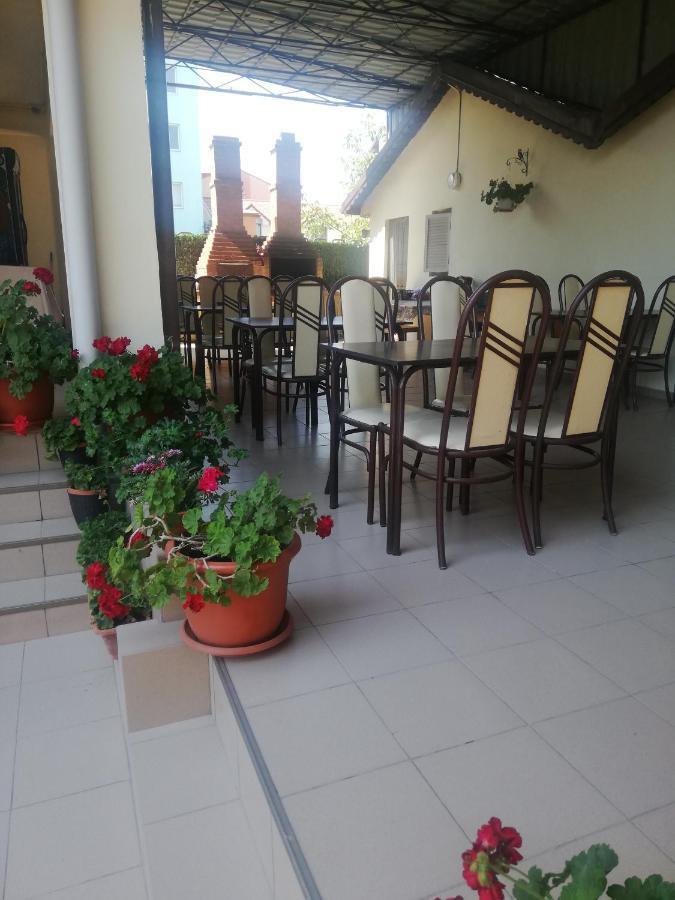Villa Pescarus 科斯蒂内什蒂 外观 照片