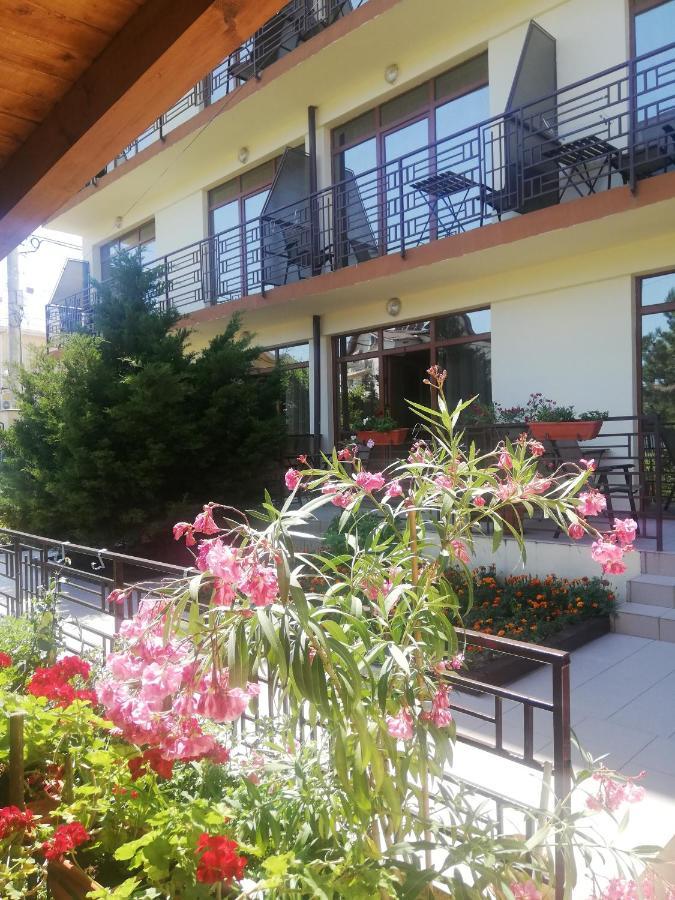 Villa Pescarus 科斯蒂内什蒂 外观 照片