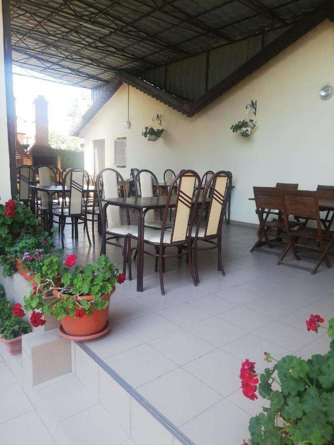 Villa Pescarus 科斯蒂内什蒂 外观 照片