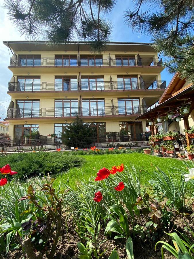 Villa Pescarus 科斯蒂内什蒂 外观 照片