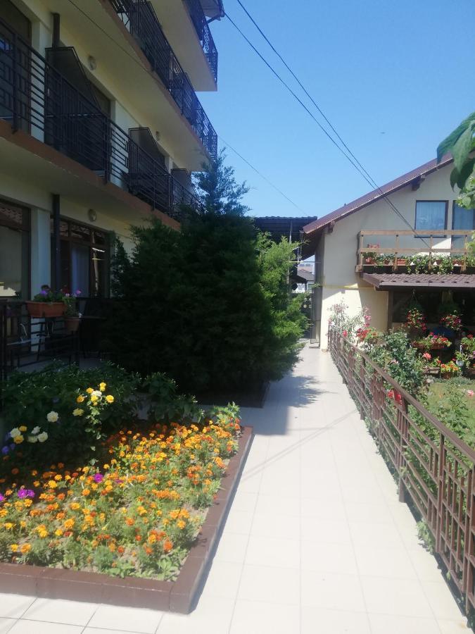 Villa Pescarus 科斯蒂内什蒂 外观 照片