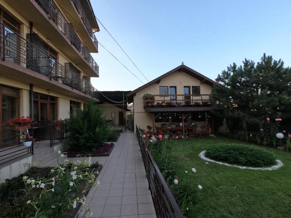 Villa Pescarus 科斯蒂内什蒂 外观 照片
